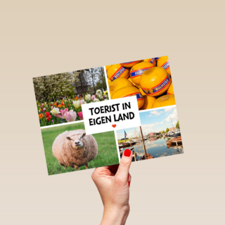 toerist in eigen land staykation