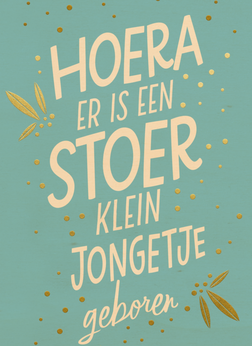 hoera er is een stoer klein jongetje geboren