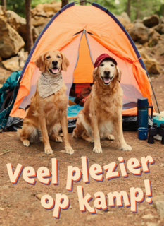 Op kamp kaart 2 honden bij tent