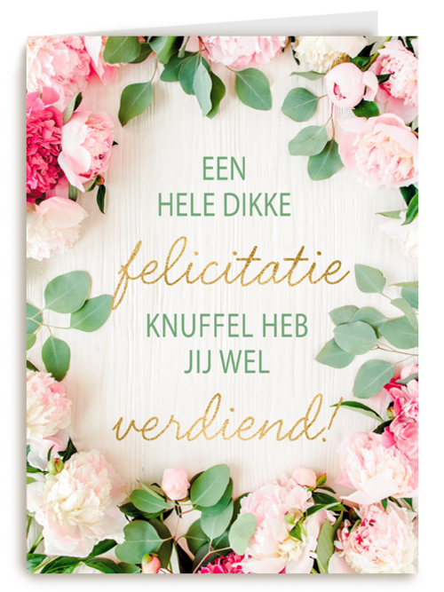 gefeliciteerd kaart felicitatieknuffel heb jij wel verdiend