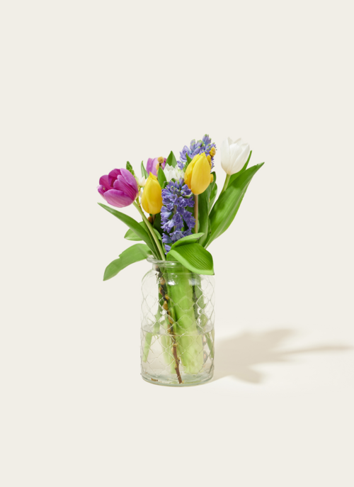 Bloemen Brievenbusboeket Spring Is Here Cadeau Bloemen En Planten |