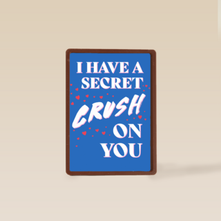 I have a secret crush on you