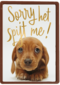 verjaardag te laat sorry het spijt me puppy