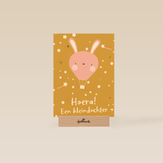 Hoera een kleindochter Roze konijn ballon
