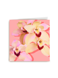 Blanco kaart orchidee
