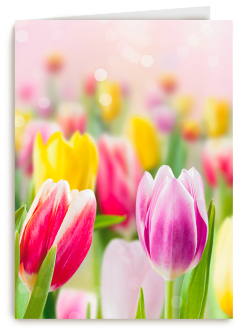 Kaart | Hallmark | Zomaar | Lente Kaart Tulpen Voorjaar