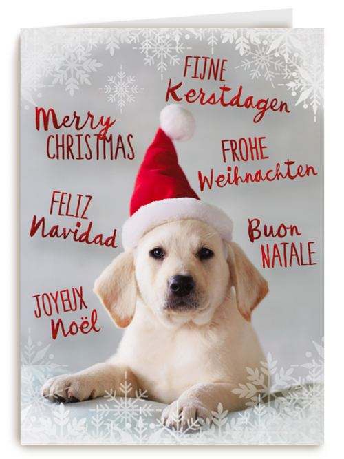 kerstpuppy met muts