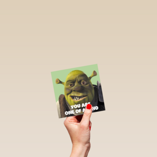 shrek you are one of a kind