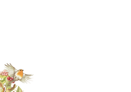 Marjolein Bastin Kerstdagen Vogels