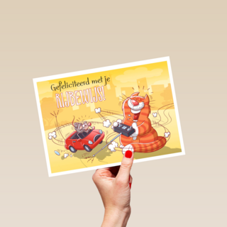 kat met bestuurbare auto