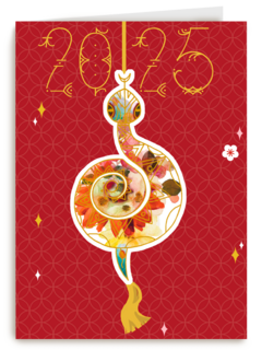 Year of the snake Chinees nieuwjaar