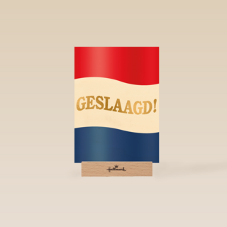 geslaagd kaart nederlandse vlag