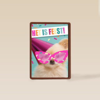 het is feest met hond met bril en hoed