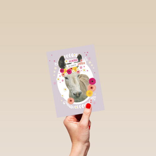 prodo dieren ezel jij bent jarig
