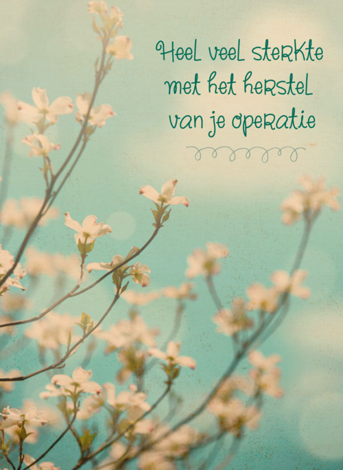 Houten Kaart Beterschapskaarten Operatie En Revalidatie | Houten Kaart Hallmark | Beterschapskaarten Operatie En Revalidatie | Sterkte Met
