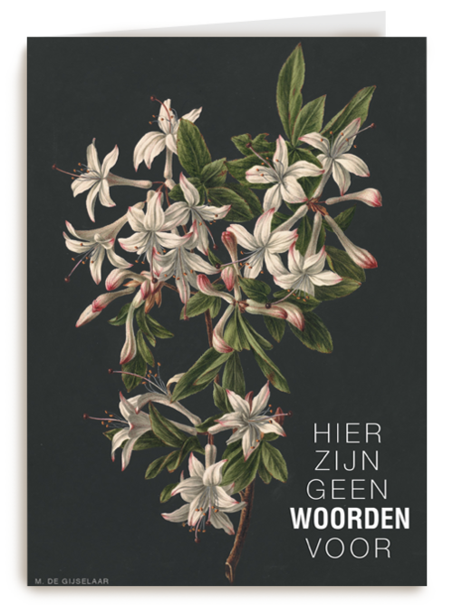 Kaart Hallmark | Condoleance Kaarten | Hier Zijn Geen Woorden Voor Bloemen