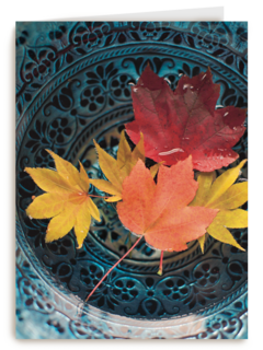 herfst kaart herfstbladeren