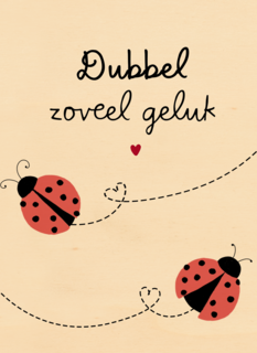 geboorte meerling dubbel zoveel geluk