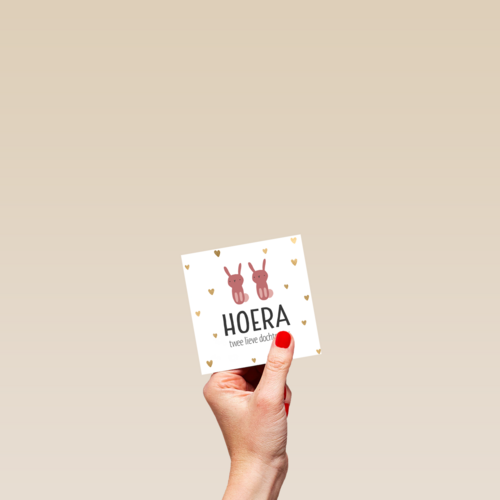 geboorte meerling meisjes hoera lieve dochtertjes