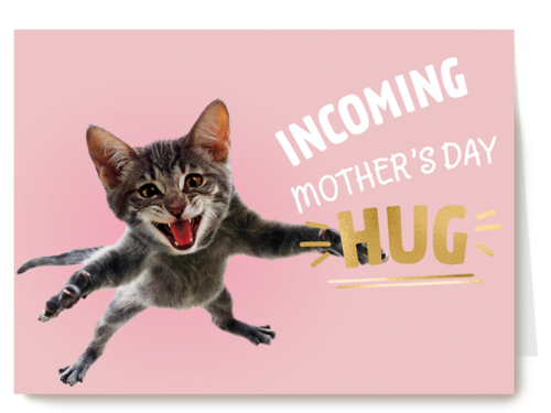 Kaart Hallmark | Moederdag | Moederdag Kaart Humor Incoming Moeders Day Hug