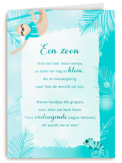 Babykaart zoon More than words