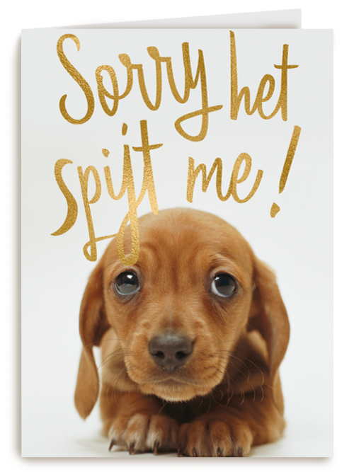 verjaardag te laat sorry het spijt me puppy