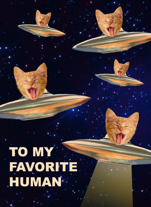 Houten Kaart Verjaardagskaarten | To My Favorite Human