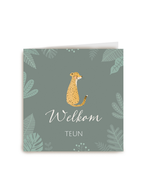 Kaart Hallmark | Geboorte Felicitatie | Geboorte Zoon Cheetah Welkom