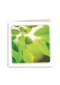 flash groen blad
