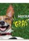 animal fiesta muchos grasias