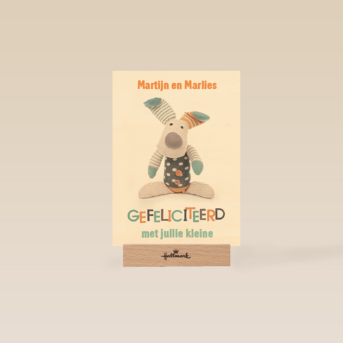 gefeliciteerd knuffel
