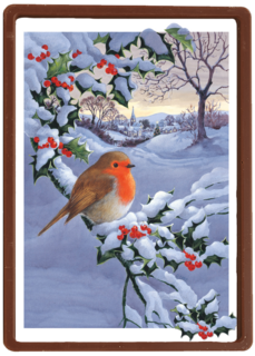 roodborstje op besneeuwde tak