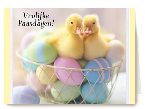 kuikens in mand met gekleurde paaseieren