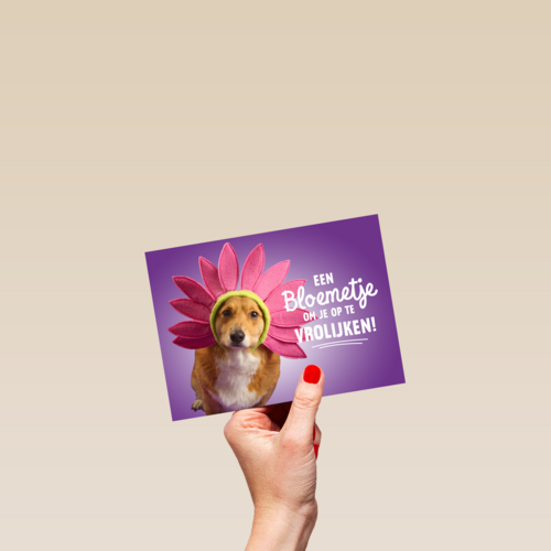een bloemetje om je op te vrolijken