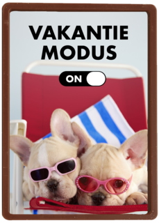 vakantiemodus aan staykation