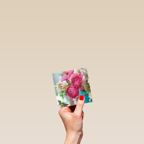 roze rozen bij elkaar