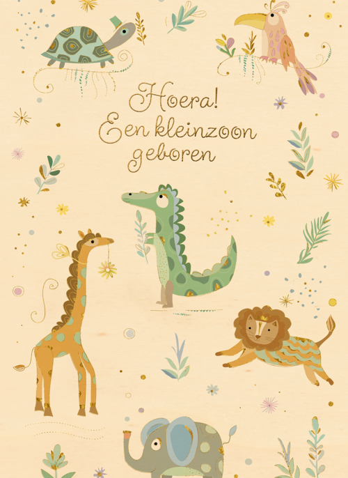 Houten Kaart Geboorte Felicitatie | Hallmark | Houten Kaart Hallmark | Geboorte Felicitatie | Turnowsky Hoera Kleinzoon Geboren