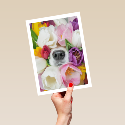 Fleurige hond