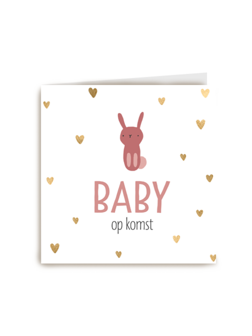 zwangerschap aankondiging baby dochter op komst