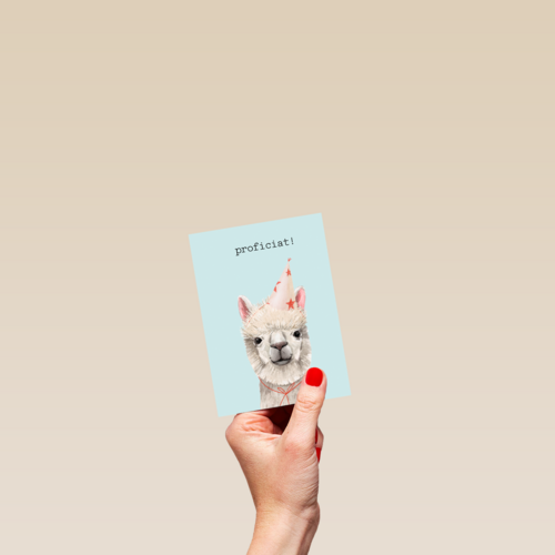 Verjaardag kaart hip happy birthday lama alpaca