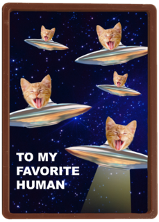 To my favorite human