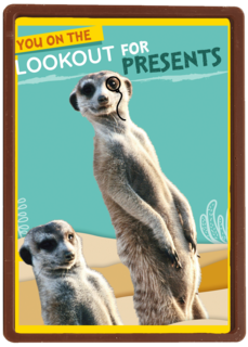 On The Lookout For Presents