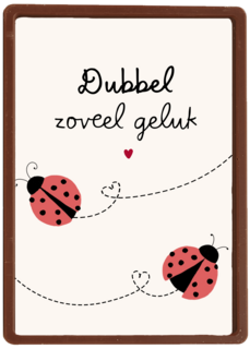 geboorte meerling dubbel zoveel geluk