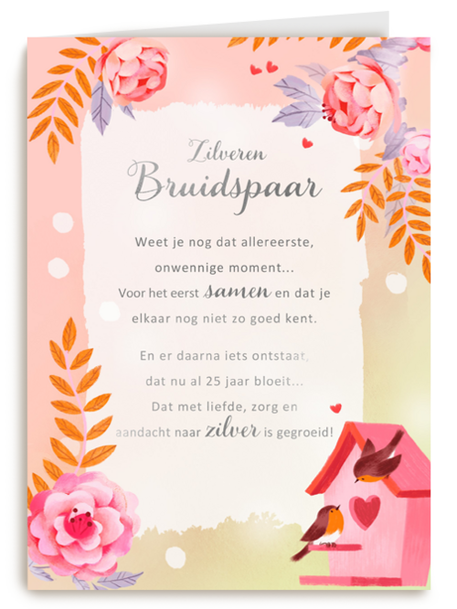 Huwelijksjubileum Zilveren bruidspaar More than Words