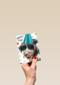 hoera feest hond met zonnebril