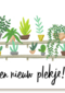 een nieuw plankje voor je planten