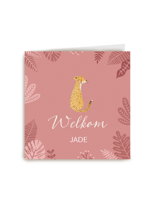 geboorte dochter cheetah welkom