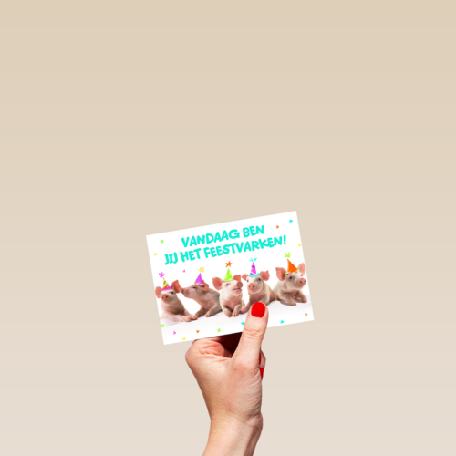 Ansichtkaart vandaag ben jij het feestvarken
