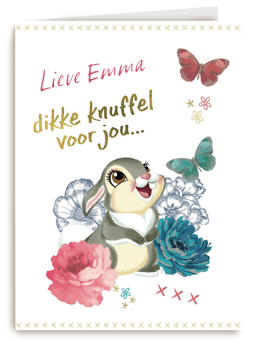 disney adult dikke knuffel voor jou