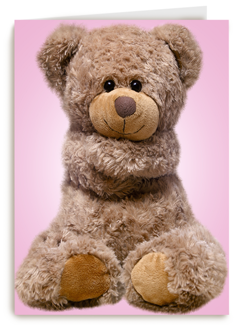 Chromazone Roze knuffelbeer